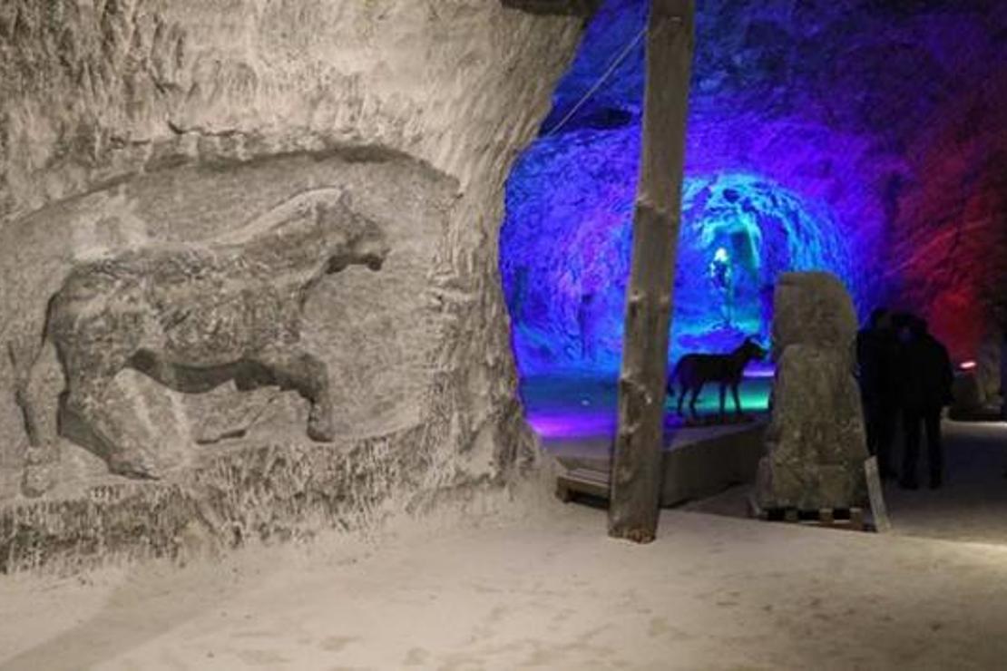 Milyonlarca yıl önce yaşayan hayvanların kabartması tuz mağarasında