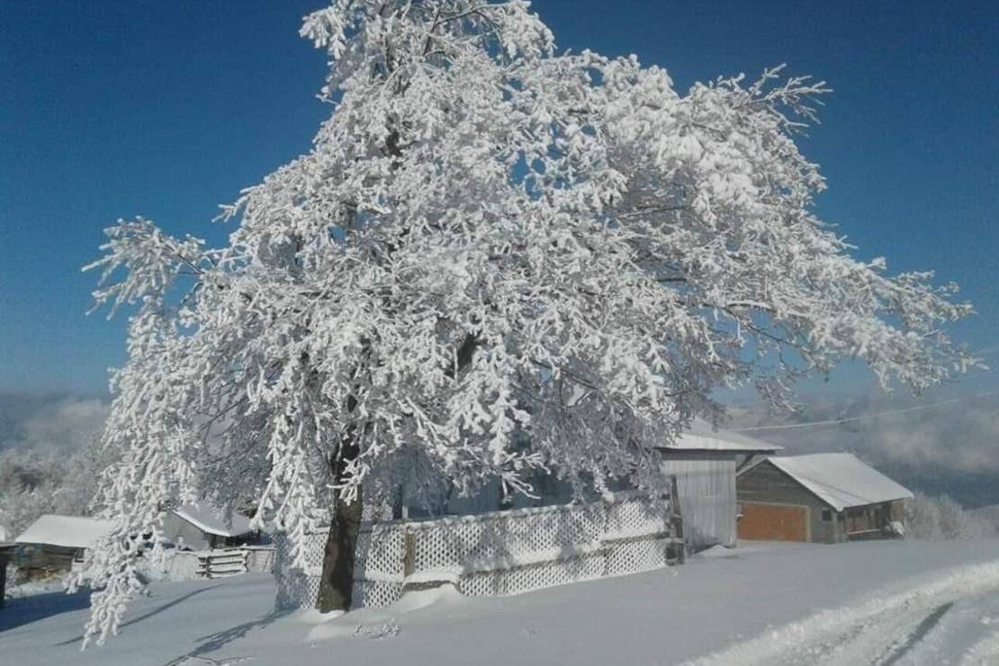 Sakarya'da donan göl üzerinde eğlendiler