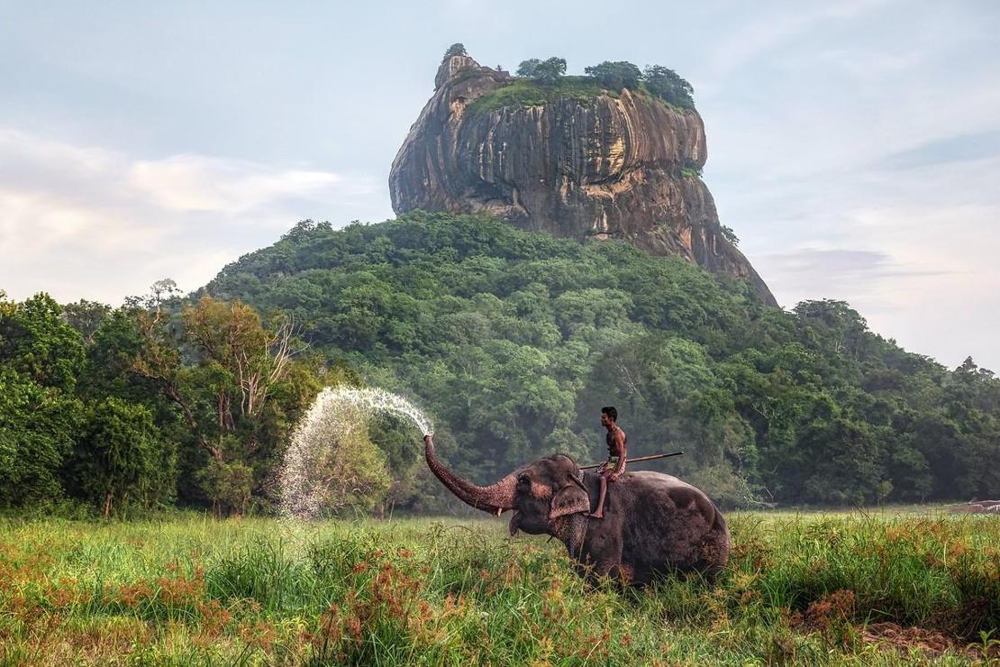 Sri Lanka'nın ünlü kaya kalesi: Sigiriya