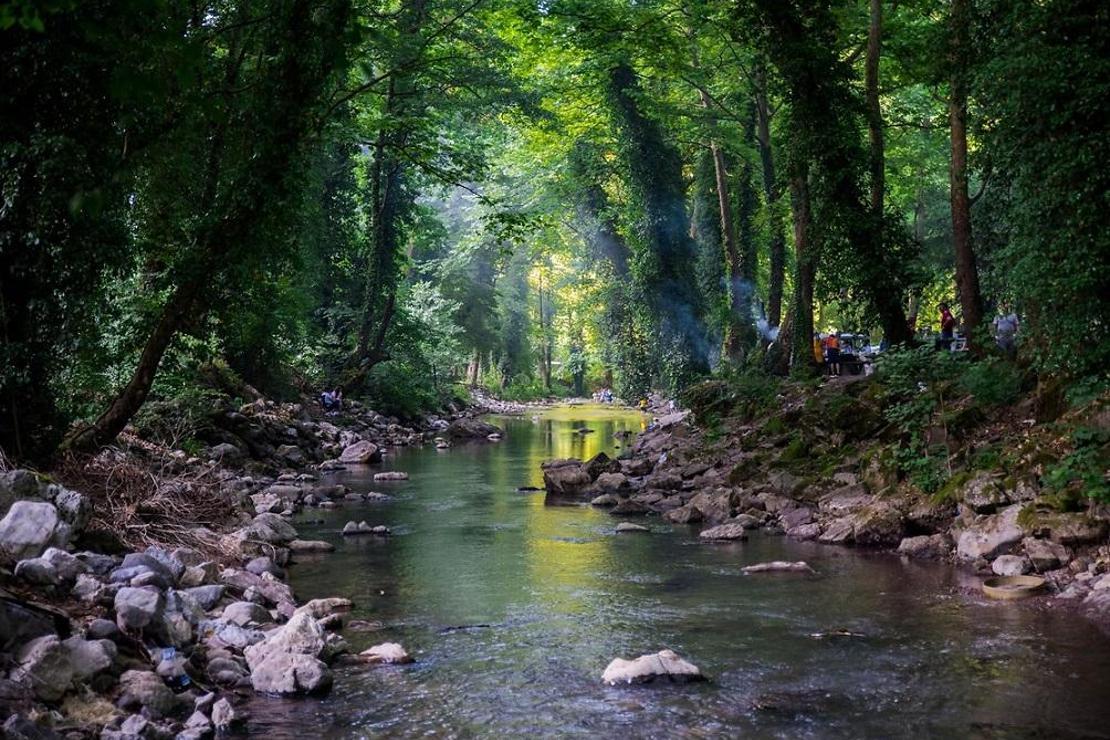 Su sesiyle gelen mutluluk: Maden Deresi