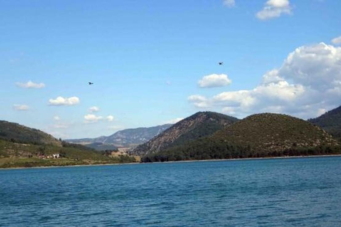 Kozan Barajı Gölü'ne 200 çift martı bırakıldı