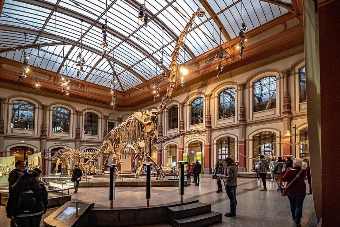Berlin'in muhteşem doğa tarihi müzesi