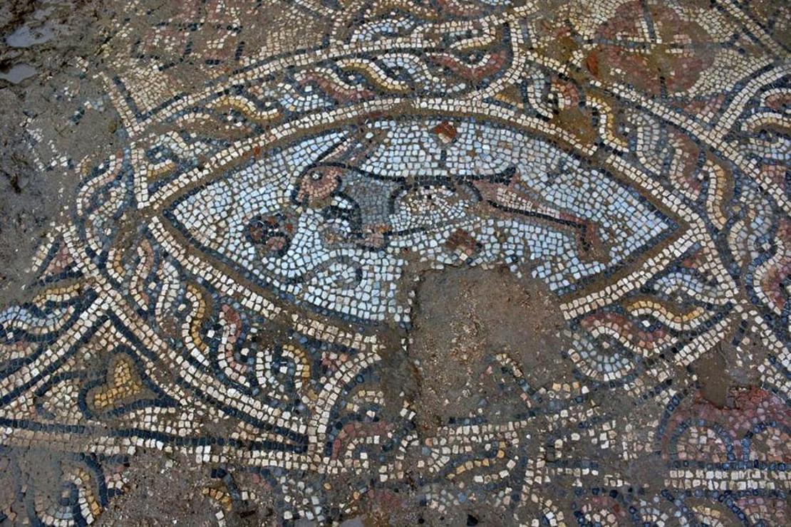 İnşaat kazısında Roma dönemine ait mozaikler bulundu  