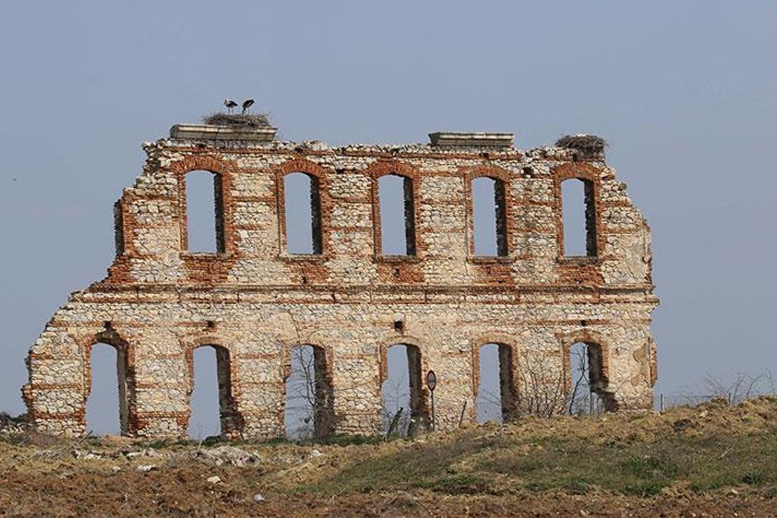 Tarihi hastane duvarının 'mevsimlik misafirleri' gelmeye başladı