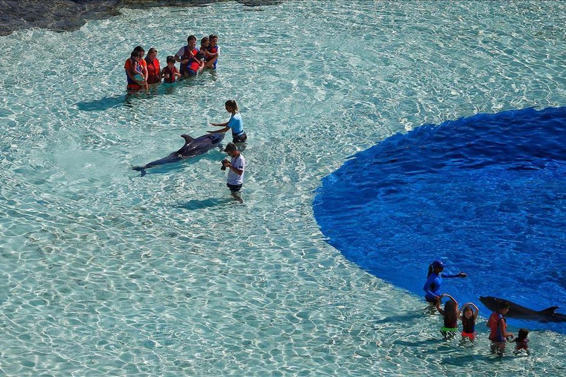 Turizmciler corona virüs salgını sonrası dönemden umutlu