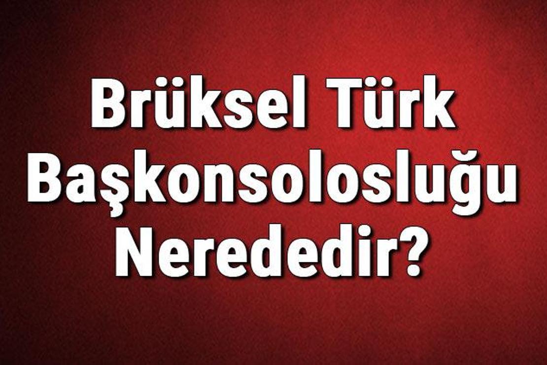 Brüksel Türk Başkonsolosluğu Nerededir? Konsolosluk İletişim Bilgileri, Adresi, Telefon Numarası Ve Çalışma Saatleri