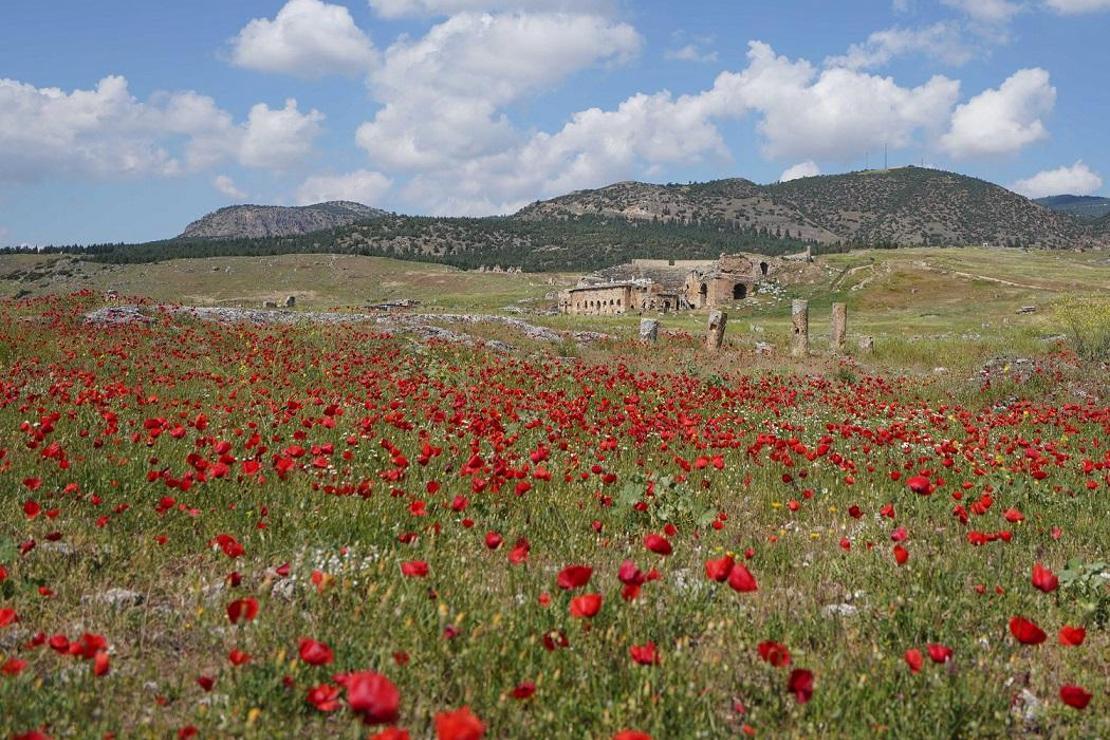 Hierapolis Antik Kenti'nde çiçeklerle görsel şölen