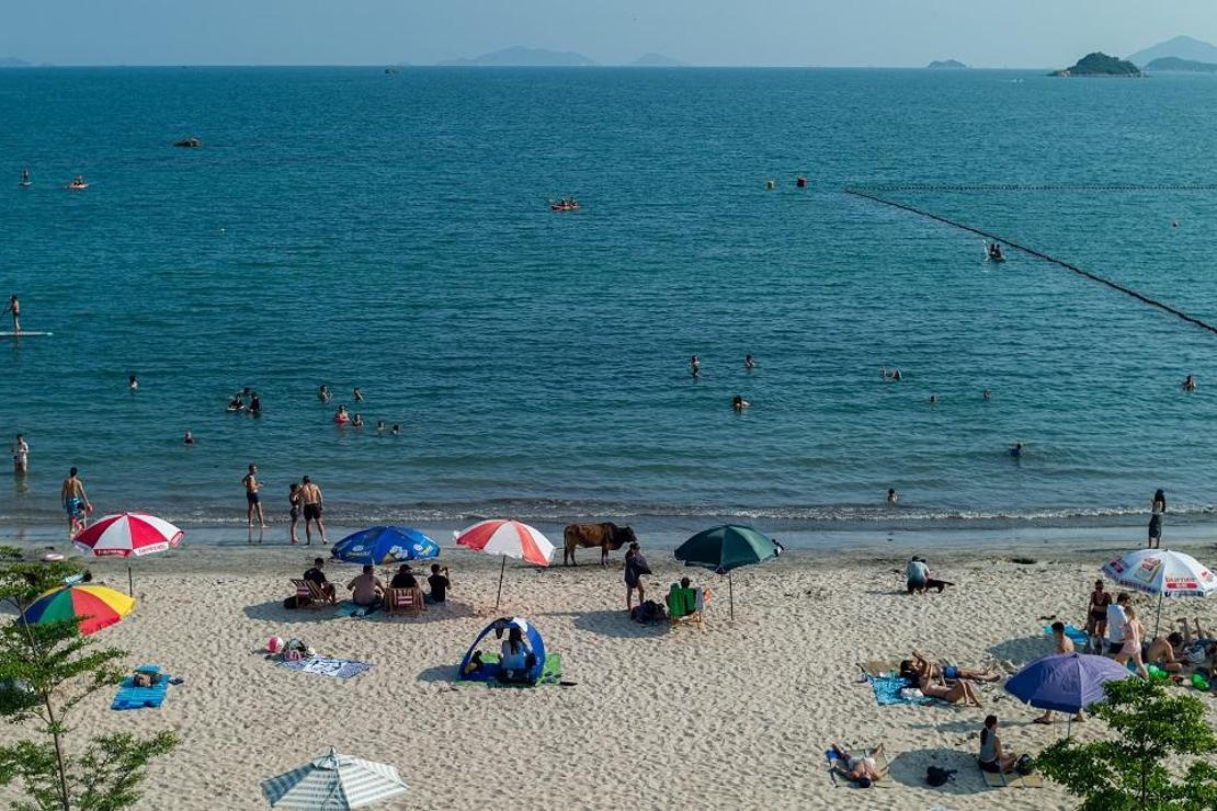 Hong Kong'da koronavirüse rağmen halk, plajlara akın etti
