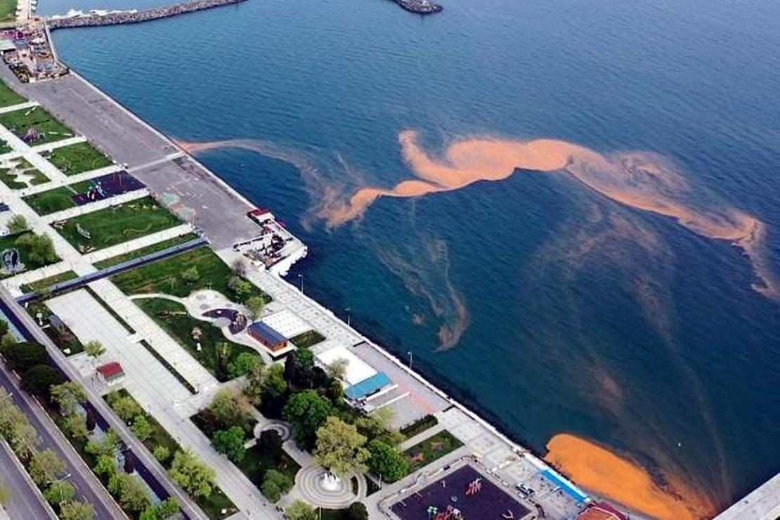 Tekirdağ sahilleri yeniden turuncu renge büründü