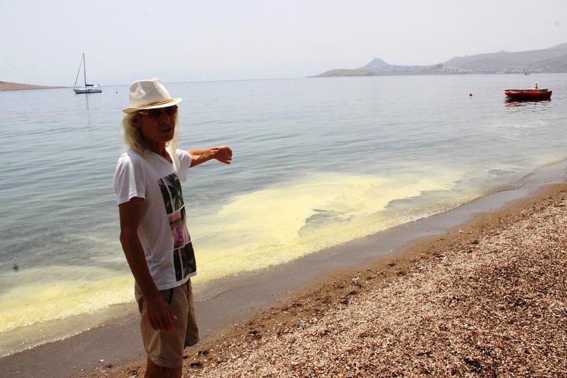  Bodrum’da sarı deniz paniği