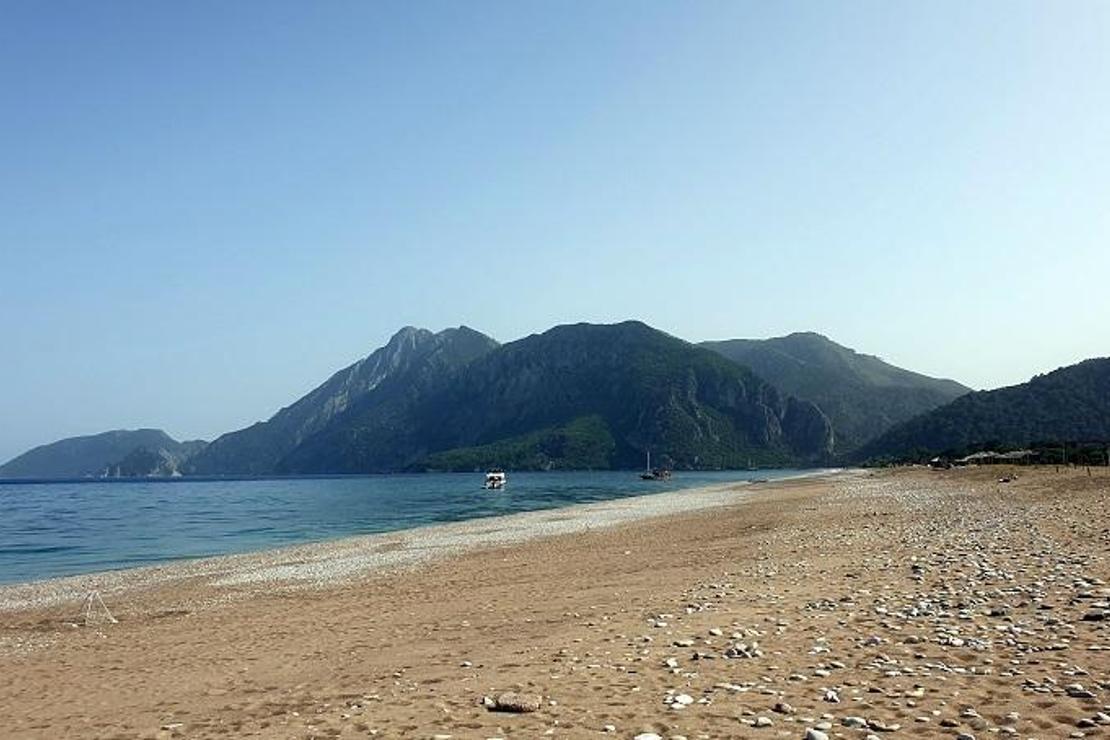 Çıralı'da bu yılın ilk caretta yuvaları