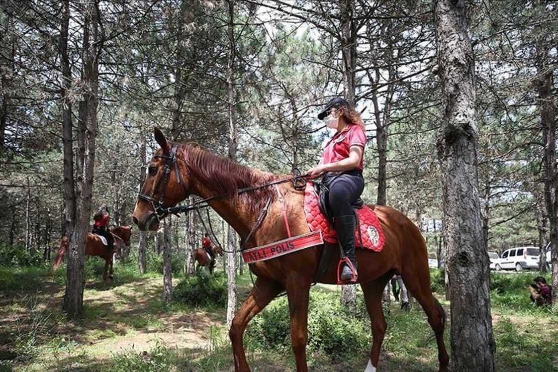 İstanbul'un ormanları 'doğa devriyesiyle' daha huzurlu olacak