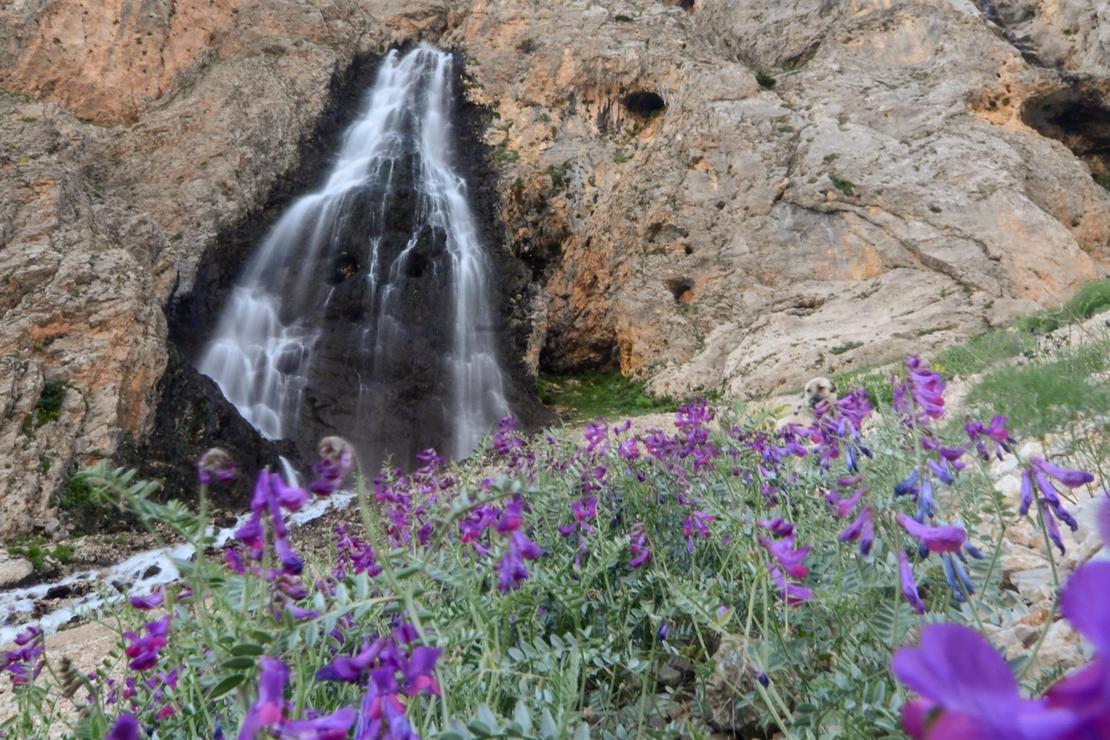Munzur Dağları'ndaki saklı güzellik: Dalik Şelalesi