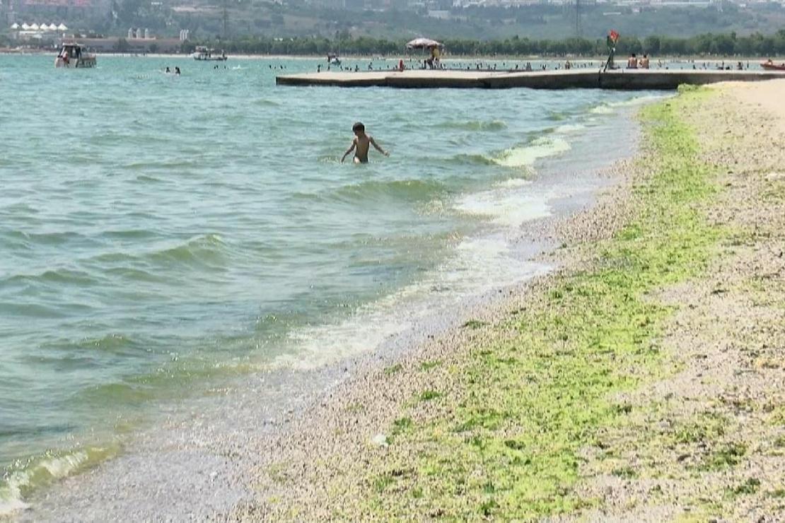 İstanbul plajlarına uyarı