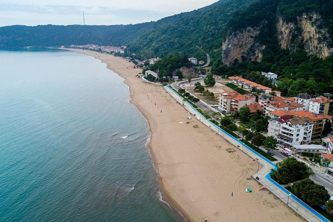 Bartın'da sahildeki kum zambakları koruma altında