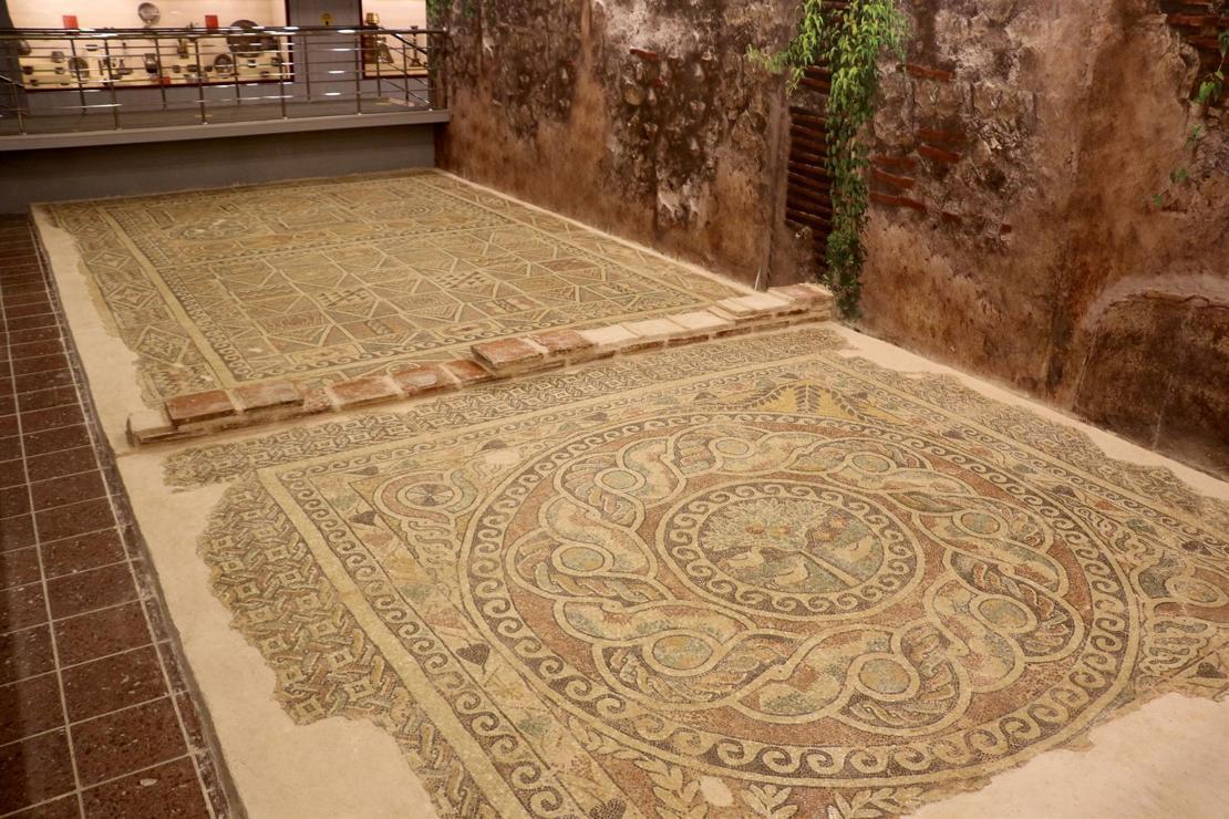 Kaçak kazıda ortaya çıkan 1800 yıllık 'elma mozaiği' sergileniyor