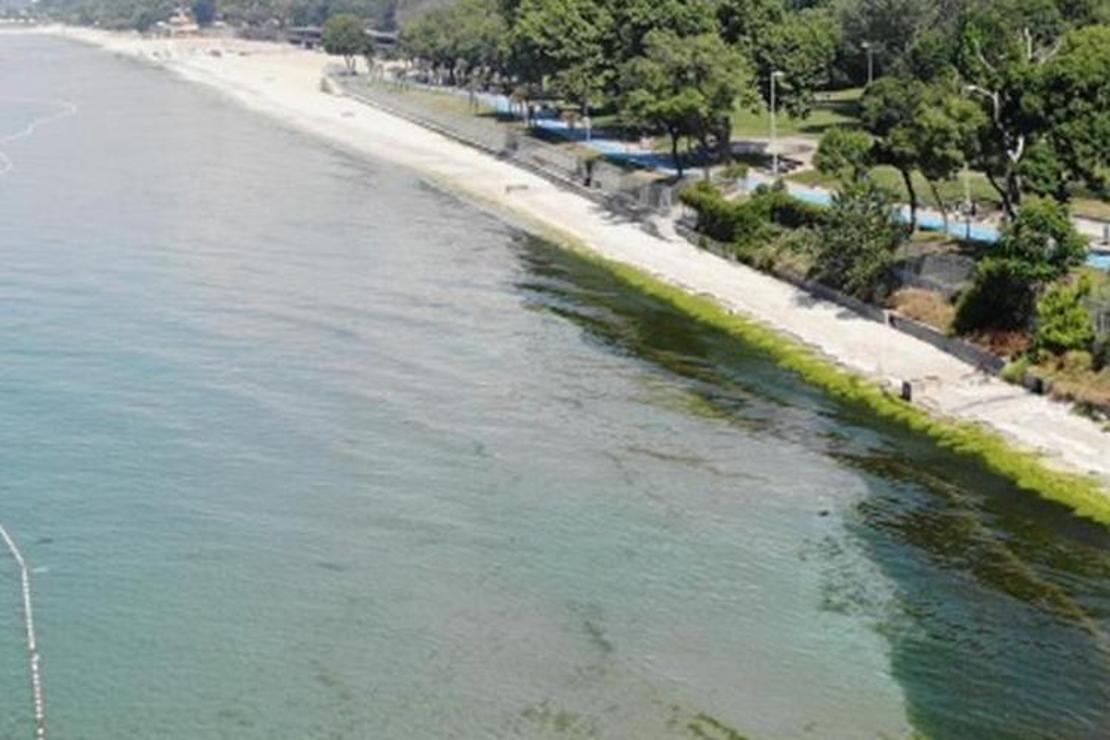 Florya Güneş Plajı Nerede Ve Nasıl Gidilir? Florya Güneş Plajı Özellikleri, Kamp İle Konaklama Detayları Ve Giriş Ücreti (2023)