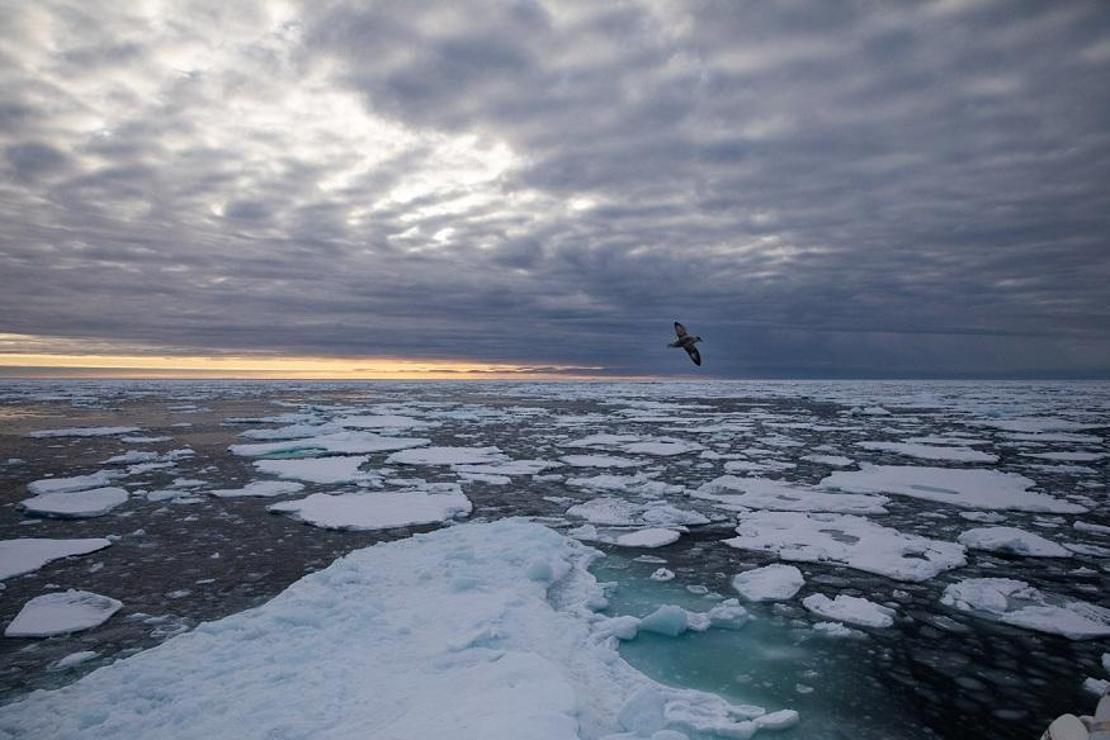 Kuzey Kutbu buzullarında en düşük 2. seviye ölçüldü
