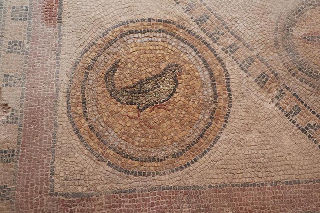 Balatlar Kazısı’nda, Zeugma'dakilere benzer mozaikler bulundu