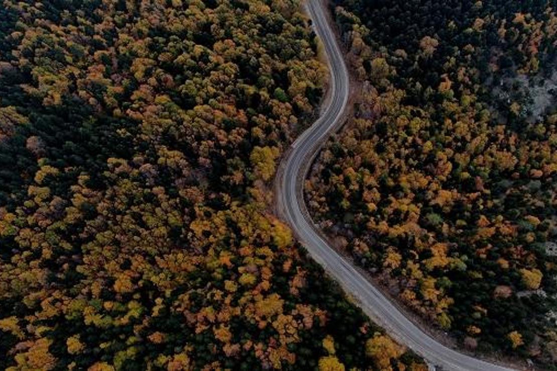 Uludağ’da sonbaharda adeta tablo gibi