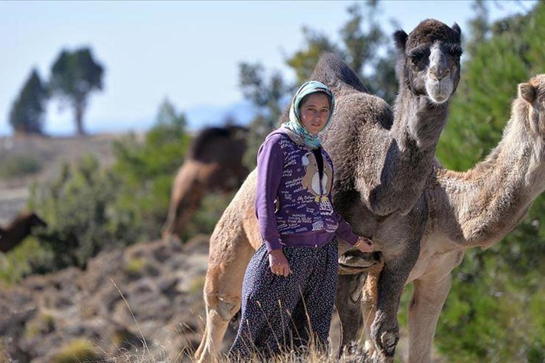 Anadolu'nun bin yıllık konargöçerlik kültürünü Sarıkeçili Yörükleri sürdürüyor