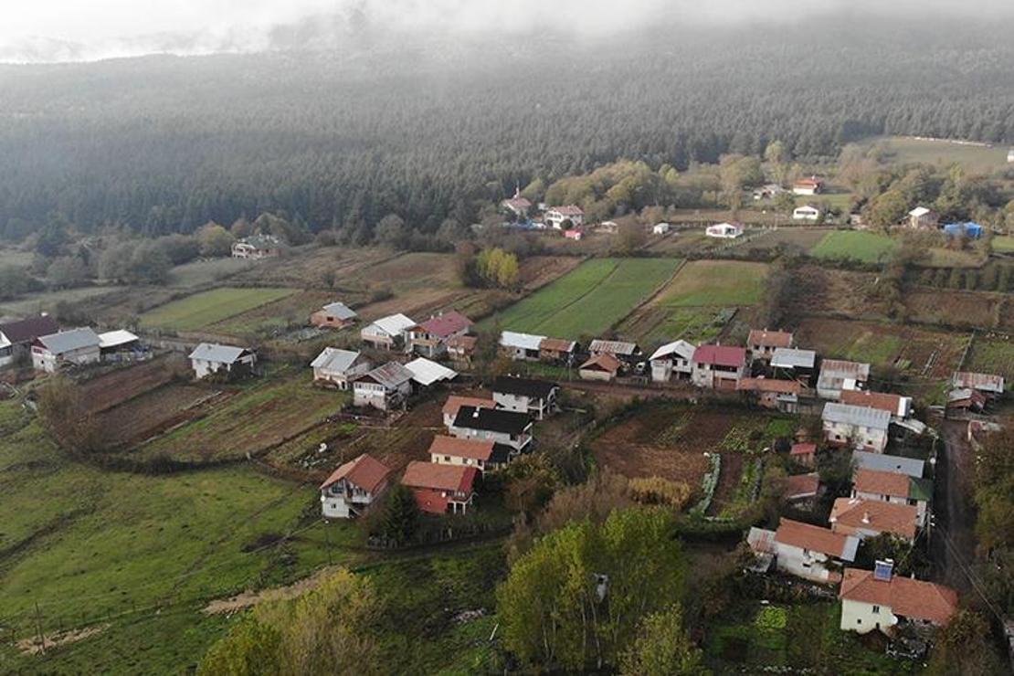 Kontrolsüz yapılar sebebiyle yaylalar kent merkezlerini andırıyor