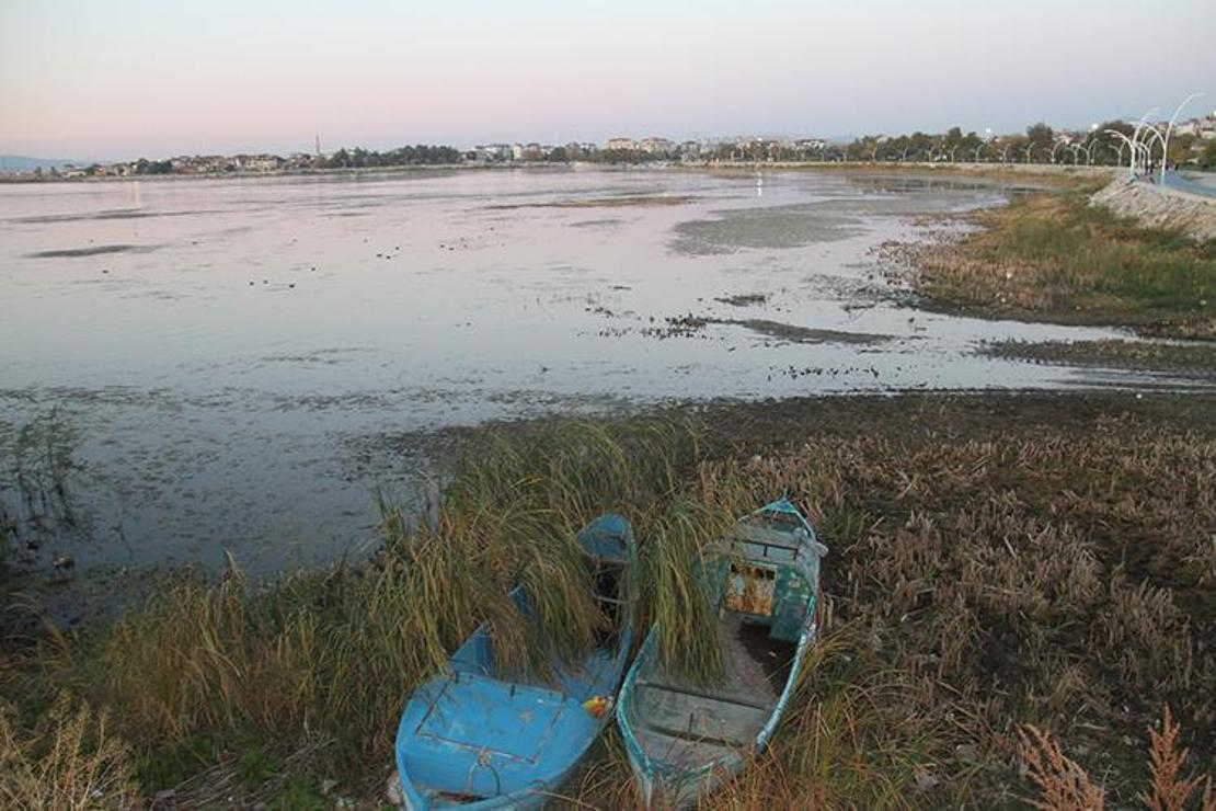 Beyşehir Gölü'nde sular çekildi, kıyılarda sazlıklar oluştu