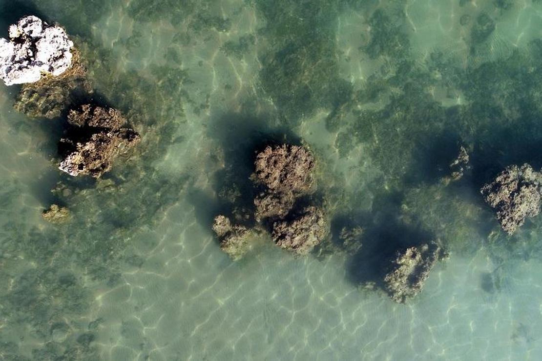 Van Gölü çekilince ortaya çıktı! Dünyanın en büyük mikrobiyaliti...