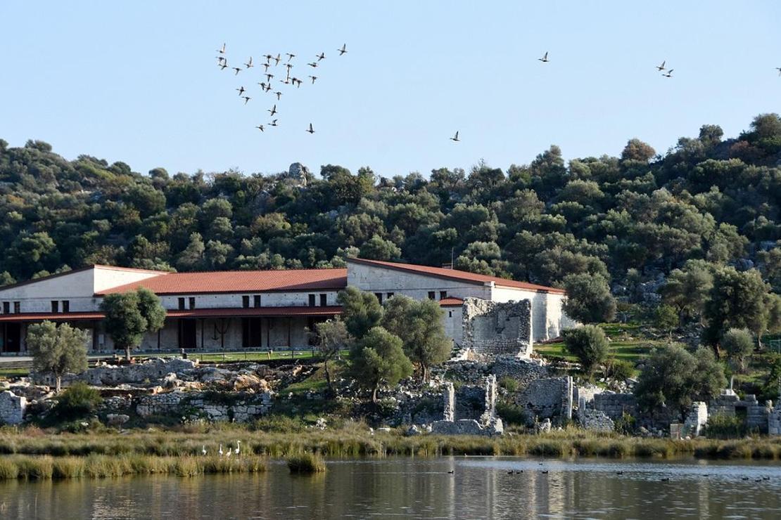 Noel Baba Kuş Cenneti'ne kuş akını