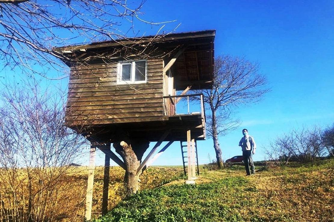 Stresten kaçmak için kendine ağaç ev yaptı