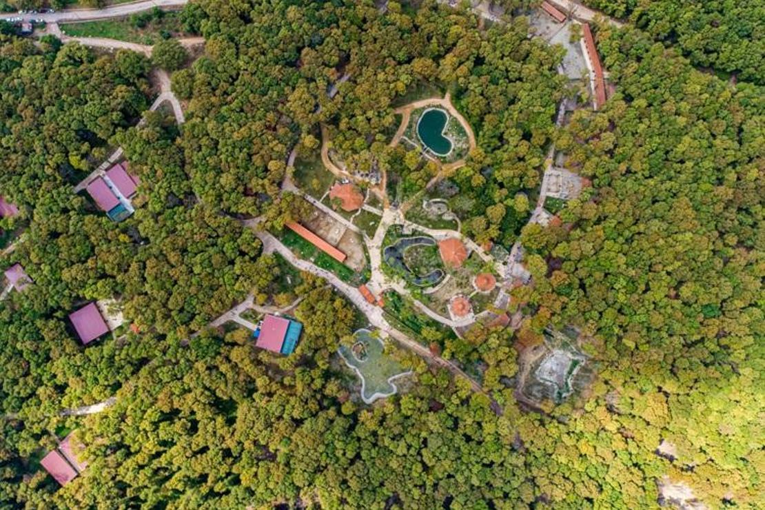 Kocaeli'deki Avrupa'nın en büyük doğal yaşam parkı 5 milyon ziyaretçiyi ağırladı