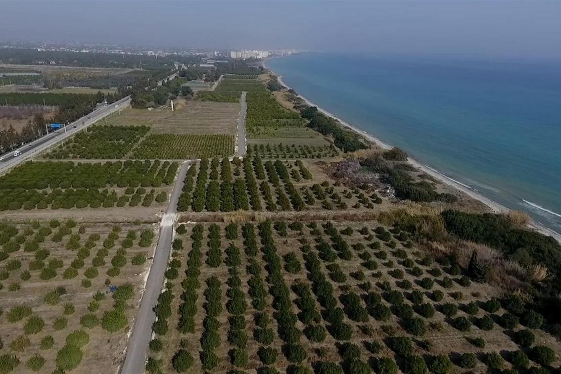 Mersin'de Alata Sahili 'kesin korunacak hassas alan' ilan edildi