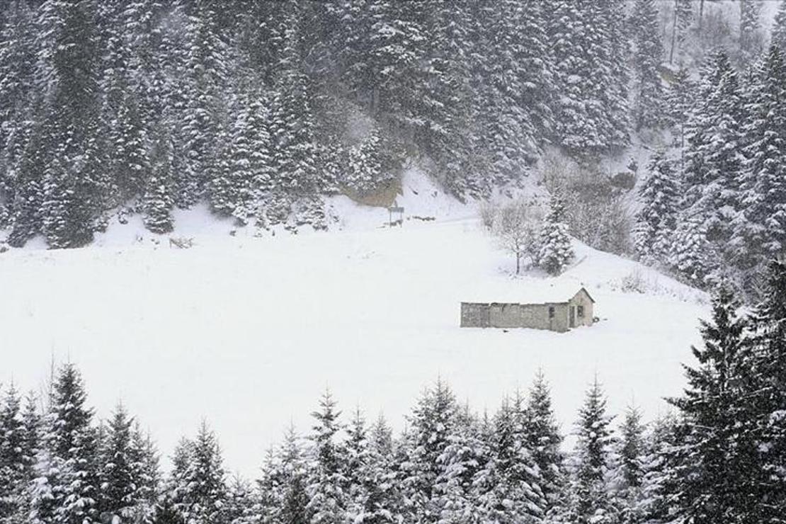 Tarihi İpek Yolu'ndaki Zigana Dağı'nda kış güzelliği yaşanıyor