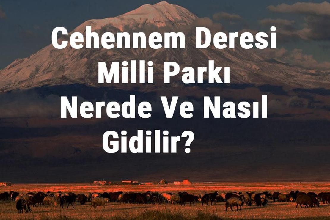 Cehennem Deresi Milli Parkı Nerede Ve Nasıl Gidilir? Cehennem Deresi Milli Parkı Konaklama, Kamp, Giriş Ücreti Ve Özellikleri Hakkında Bilgi