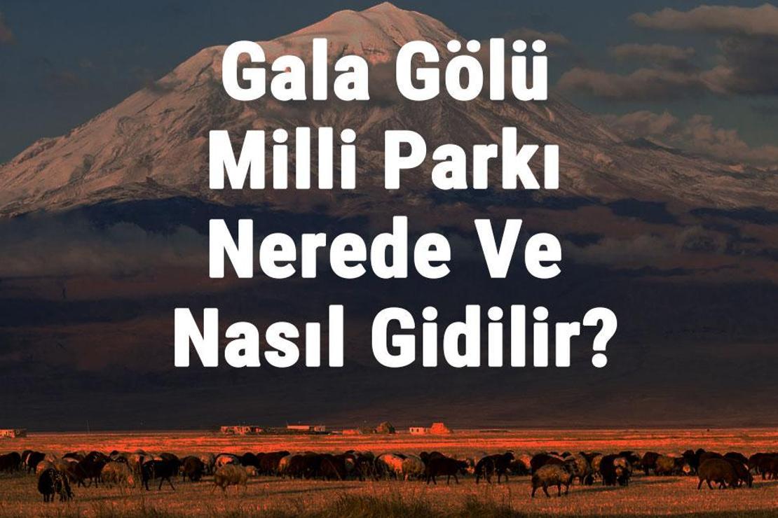 Gala Gölü Milli Parkı Nerede Ve Nasıl Gidilir? Gala Gölü Milli Parkı Konaklama, Kamp, Giriş Ücreti Ve Özellikleri Hakkında Bilgi