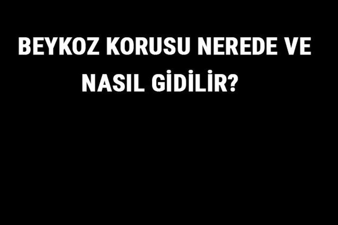 Beykoz Korusu Nerede Ve Nasıl Gidilir? Beykoz Korusu Tarihi, Giriş Ve Kahvaltı Ücreti Hakkında Bilgi