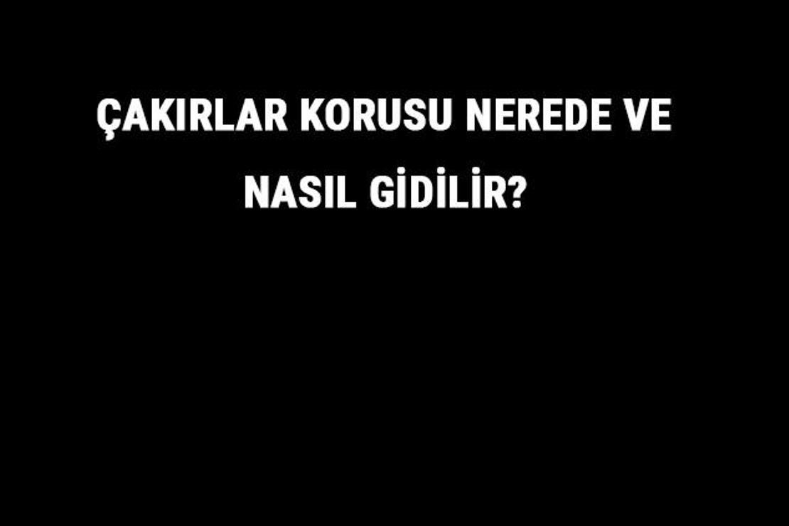 Çakırlar Korusu Nerede Ve Nasıl Gidilir? Çakırlar Korusu Tarihi, Giriş Ve Kahvaltı Ücreti Hakkında Bilgi