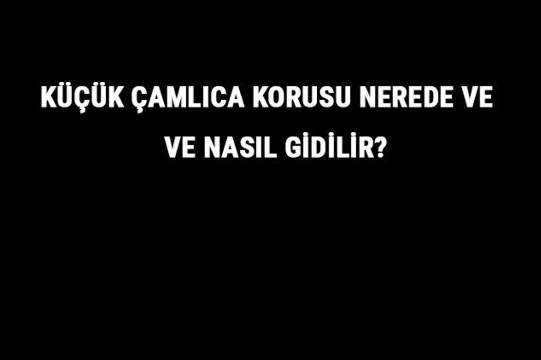 Küçük Çamlıca Korusu Nerede Ve Nasıl Gidilir? Küçük Çamlıca Korusu Tarihi, Giriş Ve Kahvaltı Ücreti Hakkında Bilgi