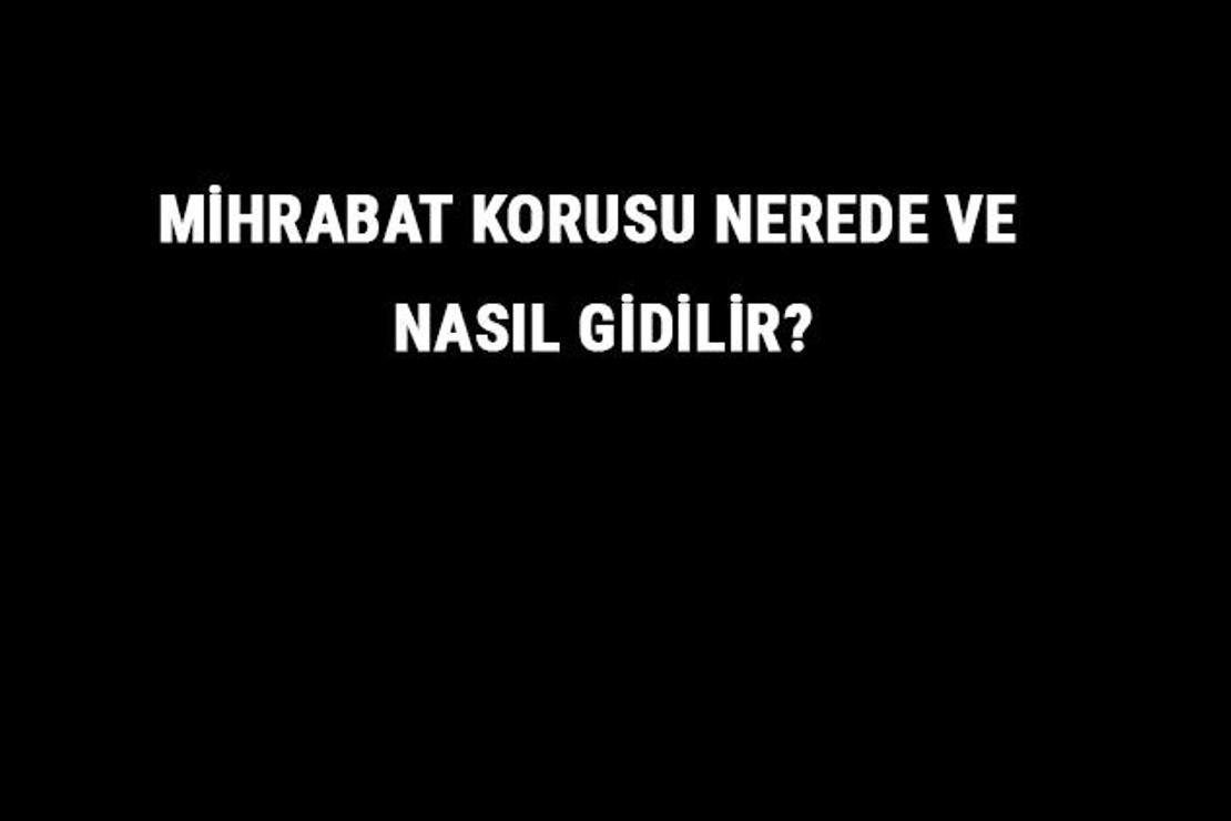 Mihrabat Korusu Nerede Ve Nasıl Gidilir? Mihrabat Korusu Tarihi, Giriş Ve Kahvaltı Ücreti Hakkında Bilgi