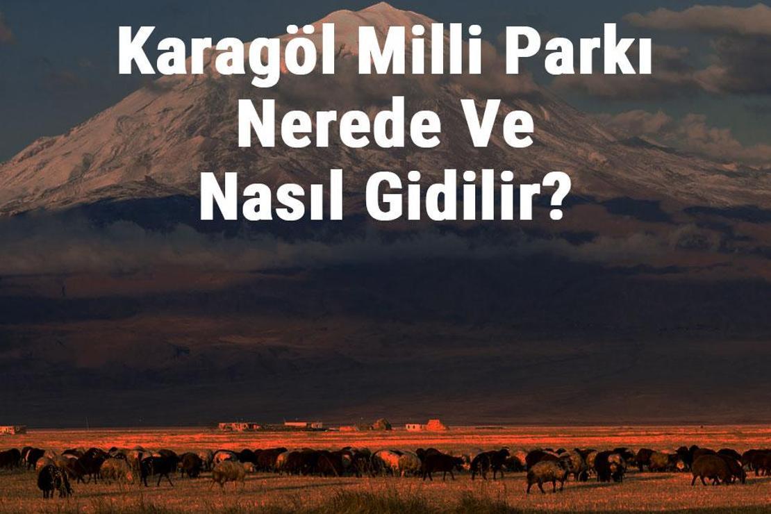 Karagöl Milli Parkı Nerede Ve Nasıl Gidilir? Karagöl Milli Parkı Konaklama, Kamp, Giriş Ücreti Ve Özellikleri Hakkında Bilgi