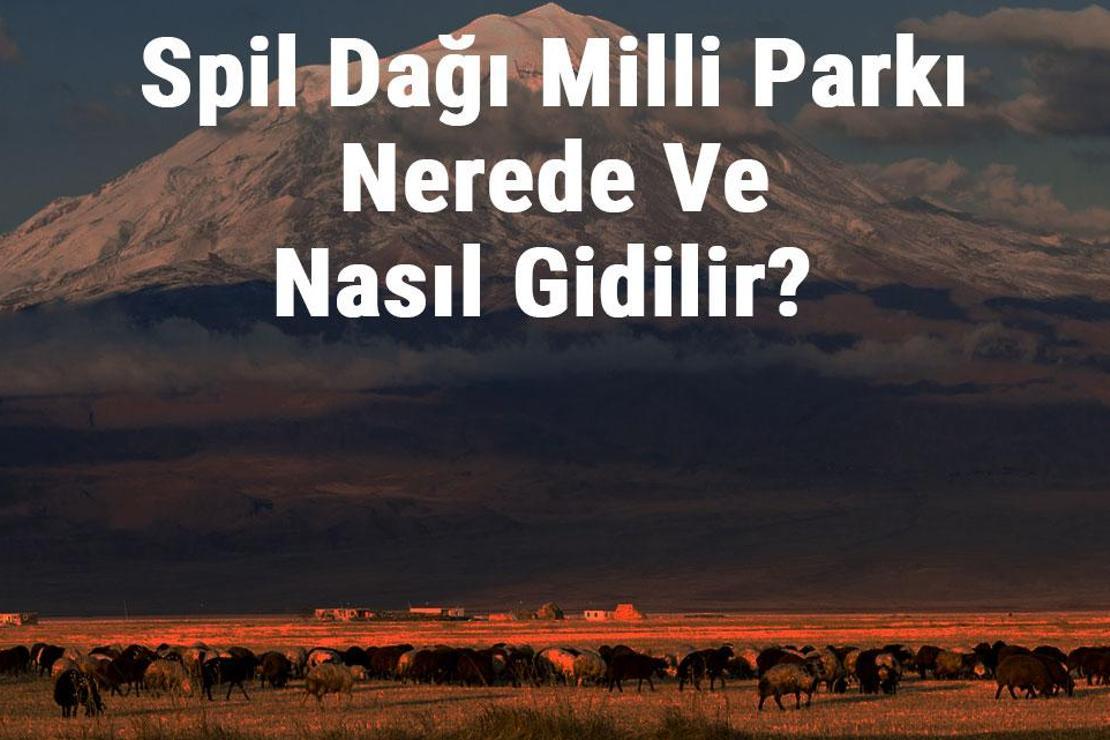 Spil Dağı Milli Parkı Nerede Ve Nasıl Gidilir? Spil Dağı Milli Parkı Konaklama, Kamp, Giriş Ücreti Ve Özellikleri Hakkında Bilgi