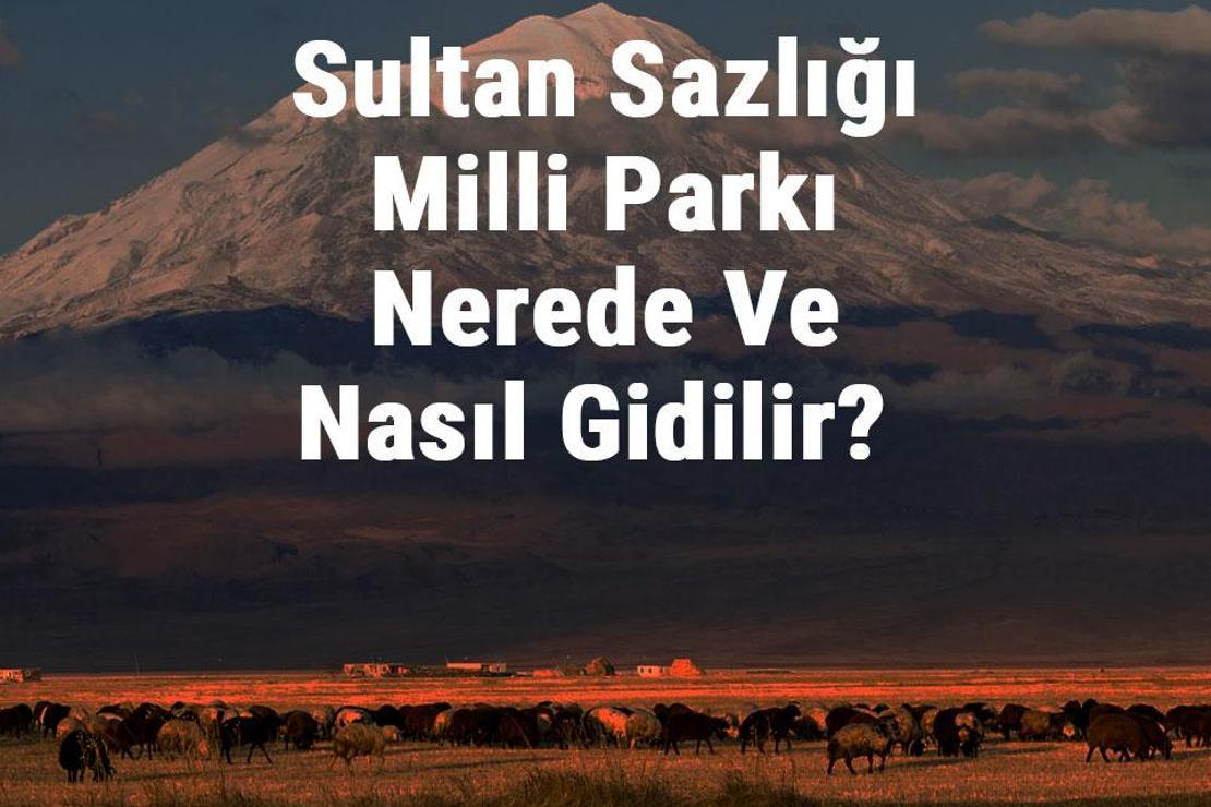 Sultan Sazlığı Milli Parkı Nerede Ve Nasıl Gidilir? Sultan Sazlığı Milli Parkı Konaklama, Kamp, Giriş Ücreti Ve Özellikleri Hakkında Bilgi