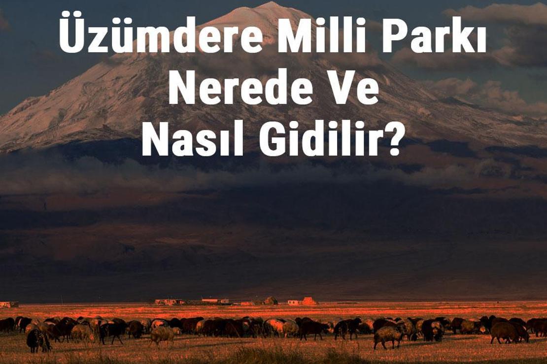 Üzümdere Milli Parkı Nerede Ve Nasıl Gidilir? Üzümdere Milli Parkı Konaklama, Kamp, Giriş Ücreti Ve Özellikleri Hakkında Bilgi