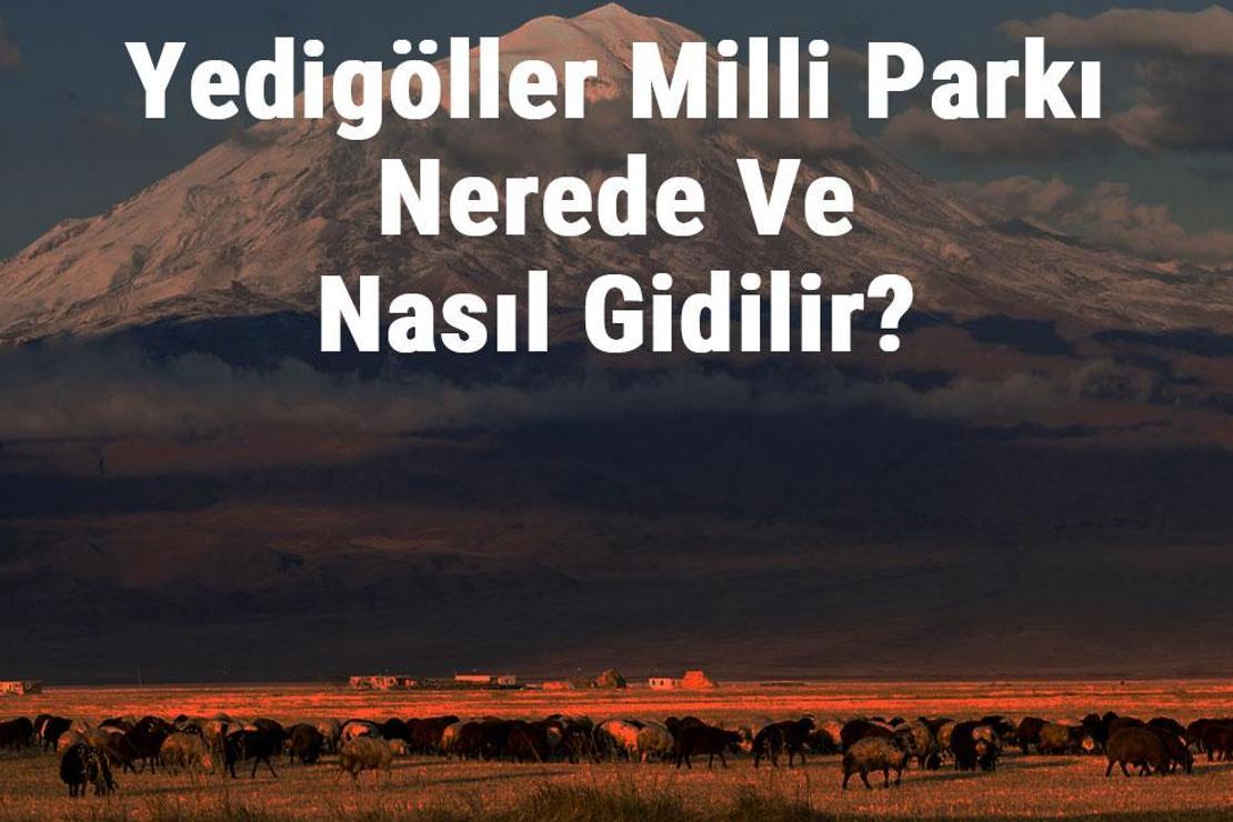 Yedigöller Milli Parkı Nerede Ve Nasıl Gidilir? Yedigöller Milli Parkı Konaklama, Kamp, Giriş Ücreti Ve Özellikleri Hakkında Bilgi