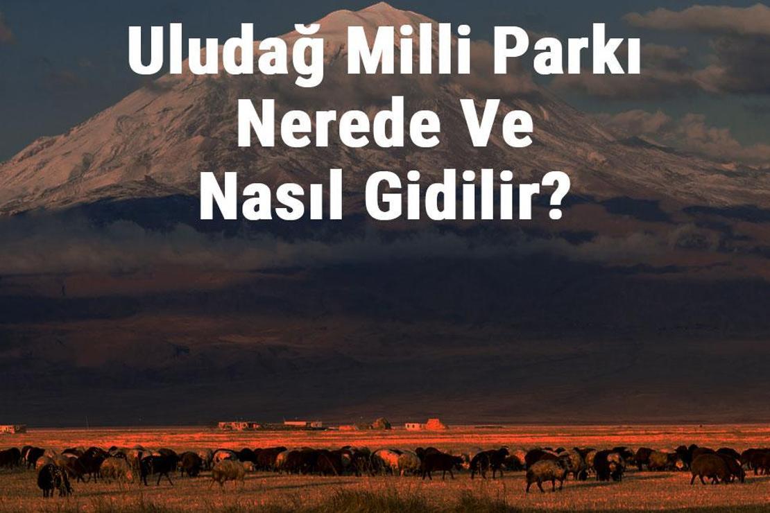 Uludağ Milli Parkı Nerede Ve Nasıl Gidilir? Uludağ Milli Parkı Konaklama, Kamp, Giriş Ücreti Ve Özellikleri Hakkında Bilgi