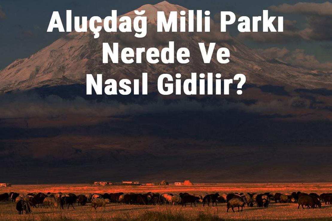 Aluçdağ Milli Parkı Nerede Ve Nasıl Gidilir? Aluçdağ Milli Parkı Konaklama, Kamp, Giriş Ücreti Ve Özellikleri Hakkında Bilgi