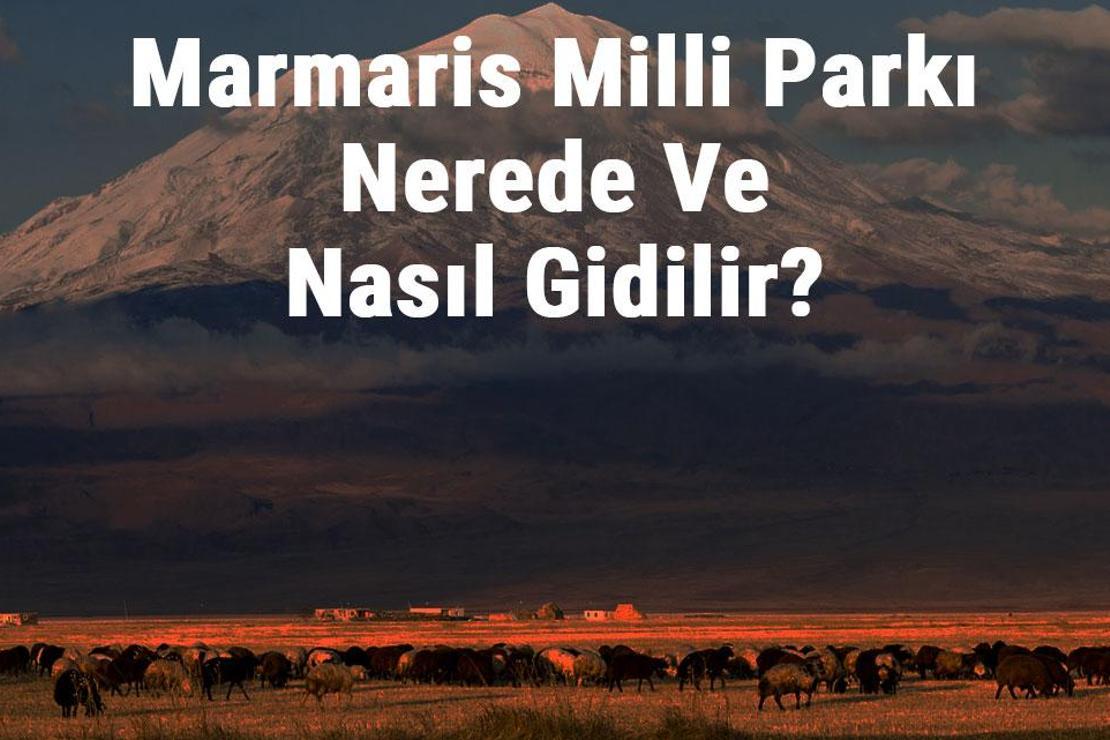 Marmaris Milli Parkı Nerede Ve Nasıl Gidilir? Marmaris Milli Parkı Konaklama, Kamp, Giriş Ücreti Ve Özellikleri Hakkında Bilgi