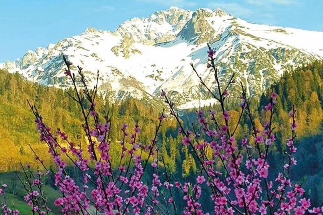 Su toprağa kavuşunca... Macahel baharı