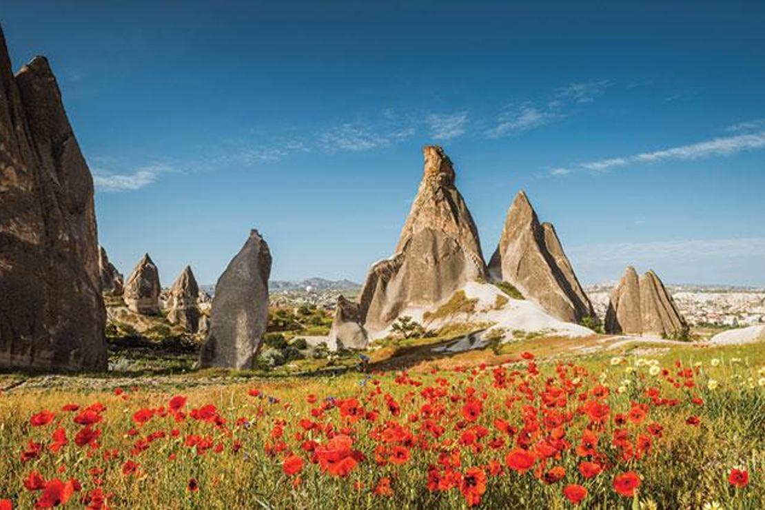 Güzel atlar diyarında çiçekler açtı