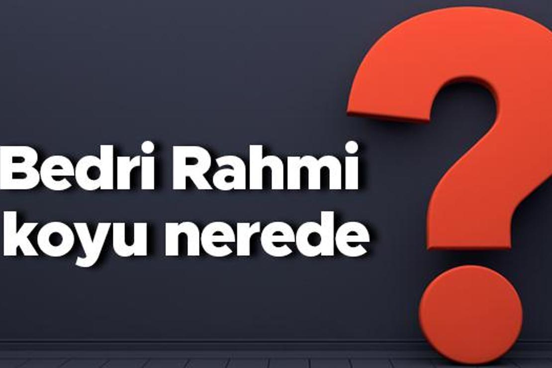 Bedri Rahmi koyu nerede, nereye bağlı? Bedri Rahmi koyuna nasıl gidilir koyda neler yapılır?